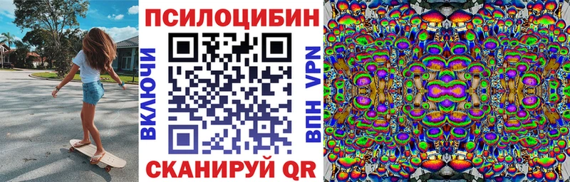 Галлюциногенные грибы Psilocybine cubensis  Бирюсинск 